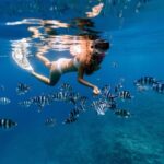 Zanzibar: Blue Lagoon Snorkeling & Starfish Experience - Private Boat and Guided Expertise