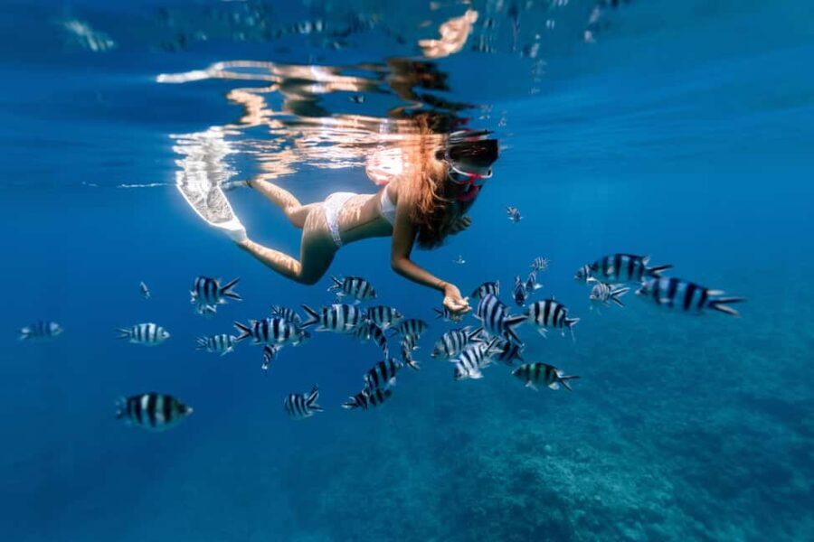 Zanzibar: Blue Lagoon Snorkeling & Starfish Experience - Private Boat and Guided Expertise