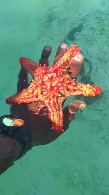 Zanzibar: Blue lagoon & Starfish - The Practicalities: What’s Included & What to Know