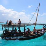 Zanzibar: Blue Safari, Jozani Forest "The Red Monkeys of Zanzibar" - Final Thoughts: Who Will Love This Tour?