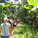 Zanzibar City: Spice Farm Tour - How the Experience Unfolds