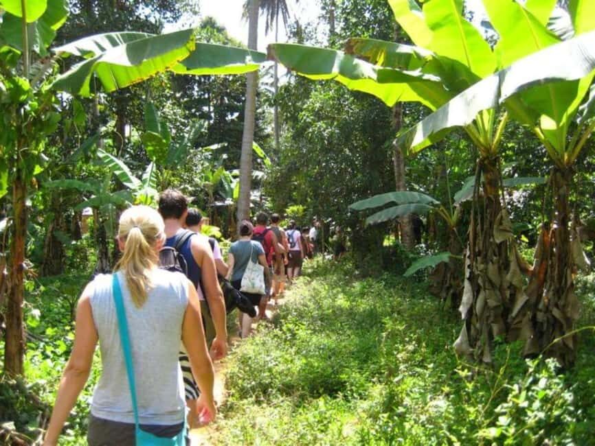 Zanzibar City: Spice Farm Tour - How the Experience Unfolds