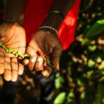 Zanzibar: Day Jozani Forest,Spice Farm,Nature and Savor Tour - The Sum Up