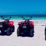Zanzibar: Dhow Race and Quad Bike Adventure Tour - Practical Details and Value