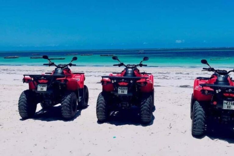 Zanzibar: Dhow Race and Quad Bike Adventure Tour - Practical Details and Value