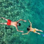 Zanzibar Dolphin tour & Snorkeling at Mnemba reef - The Sum Up