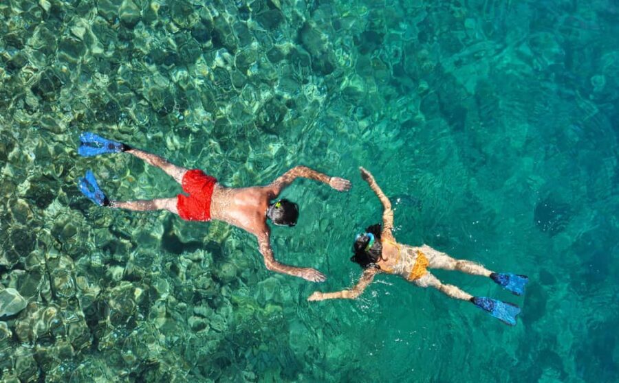 Zanzibar Dolphin tour & Snorkeling at Mnemba reef - The Sum Up