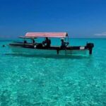 Zanzibar: Dolphins tour, Baraka Aquarium and Spice farm - Practical Details and Tips