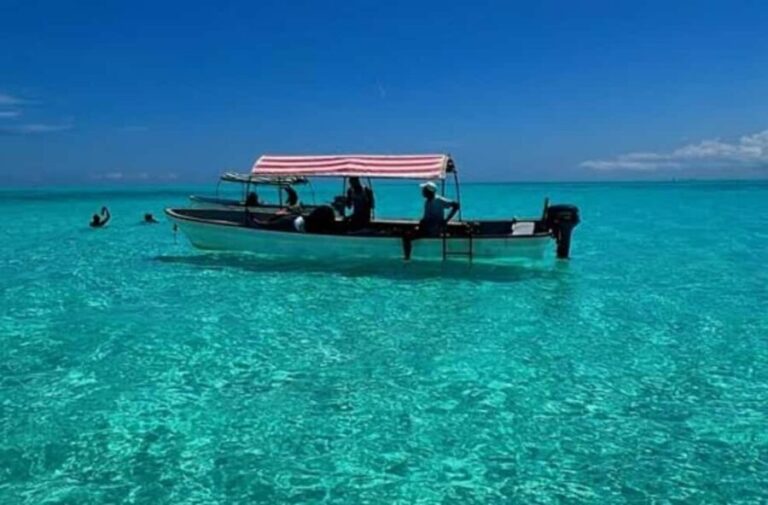 Zanzibar: Dolphins tour, Baraka Aquarium and Spice farm - Practical Details and Tips