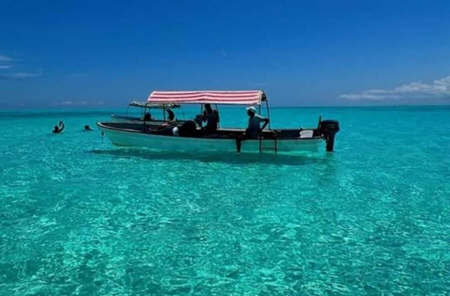 Zanzibar: Dolphins tour, Baraka Aquarium and Spice farm - Practical Details and Tips