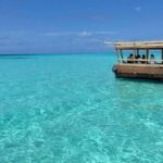 Zanzibar: Dolphins tour, Baraka Aquarium & vist Kendwa Beach - What’s Included and What Not