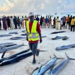 ZANZIBAR FISHING EXPRIENCE - What to Expect from the Zanzibar Fishing Experience