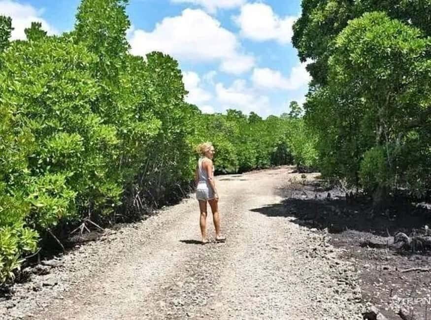 Zanzibar: Flower Garden & Mangroves Kayaking Tour at Uzi. - The Flower Garden: A Breath of Fresh Air