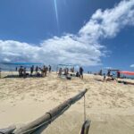 Zanzibar: Full day Kizimkazi Dolphin Tour and Pungume Island - What’s Included & What to Know Before You Go