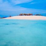 Zanzibar: Full-Day Safari Blue Tour with Lunch & Transfer - Who is This Tour Best For?
