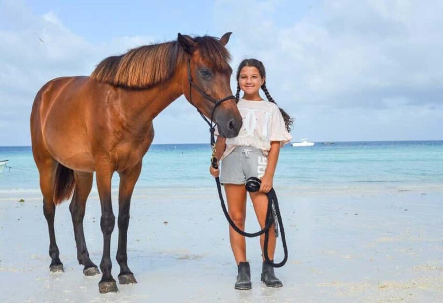 Zanzibar: Half-Day Horseback Riding Adventure with Pickup - The Value of the Experience