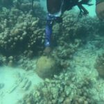 Zanzibar: Half-day Spice Farm, Classic Reef Submarine tour - What’s Included & What to Keep in Mind