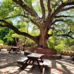 Zanzibar: Half-Day Tour Prison & Turtle Island tour - Practical Considerations