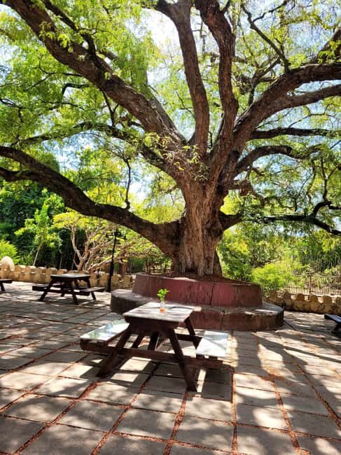 Zanzibar: Half-Day Tour Prison & Turtle Island tour - Practical Considerations