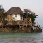 Zanzibar hidden: Starfish, Blue Lagoon, &The Rock Restaurant - What’s Included and What to Consider