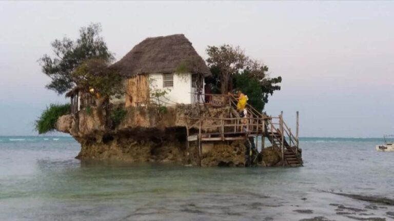 Zanzibar hidden: Starfish, Blue Lagoon, &The Rock Restaurant - What’s Included and What to Consider
