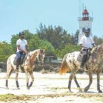 Zanzibar Horseback Riding - The Value & Practicalities