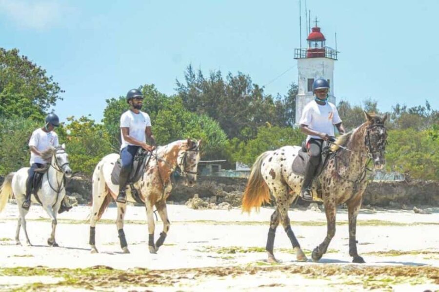 Zanzibar Horseback Riding - The Value & Practicalities