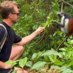 Zanzibar: Into the Wild-Red Colobus Safari in Jozani Forest - Authentic Reviews and Insights