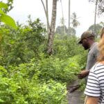ZANZIBAR: JOZANI FOREST - The Overall Value