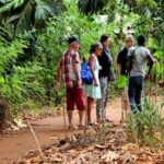 ZANZIBAR: Jozani forest and a sea turtle interaction - Salaam Cave: A Cool, Cultural Oasis
