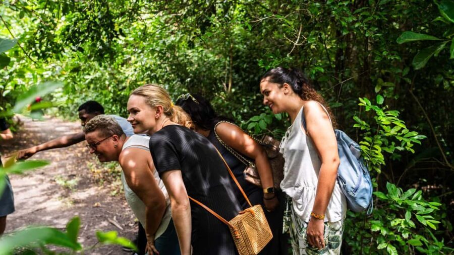 Zanzibar : Jozani forest and Butterfly centre with transfer - Practical Tips for the Tour