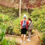 Zanzibar: Jozani forest and Butterfly day tour - A Closer Look at the Tour Itinerary