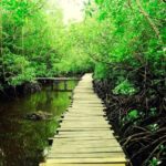 Zanzibar: Jozani Forest and Rock Restaurant Tour - Who Is This Tour Best For?
