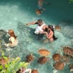 Zanzibar: Jozani Forest and Salaam cave Tour - Salaam Cave and Sea Turtle Conservation