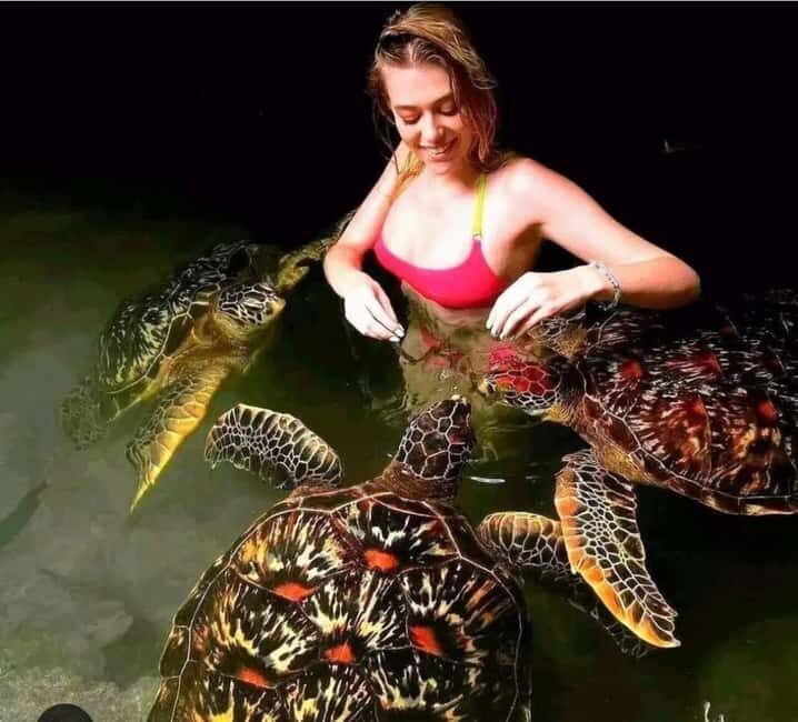 Zanzibar: Jozani Forest and Salam Cave Tour - Transport and Group Size