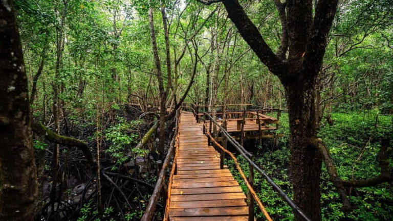 Zanzibar: Jozani Forest and Spice Farm expert Tour - The Sum Up: The Value of the Zanzibar Jungle & Spice Experience