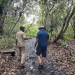 ZANZIBAR: Jozani Forest and Star fish tour with fruits - Exploring Jozani Forest: The Heart of Zanzibar’s Wildlife