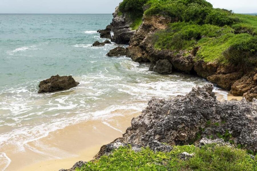 Zanzibar - Jozani Forest & Blue Lagoon trip - What’s Included and Why It Matters