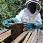 Zanzibar: Jozani Forest, Butterfly Center, & Beekeeping Tour - Exploring Jozani Forest