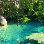 Zanzibar: Jozani forest, Butterfly center & Maalum cave tour - Who Should Consider This Tour?