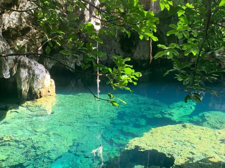 Zanzibar: Jozani forest, Butterfly center & Maalum cave tour - Who Should Consider This Tour?