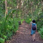 ZANZIBAR: Jozani Forest guided tour & Butterfly Sanctuary - Final Thoughts