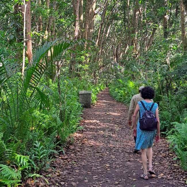 ZANZIBAR: Jozani Forest guided tour & Butterfly Sanctuary - Final Thoughts