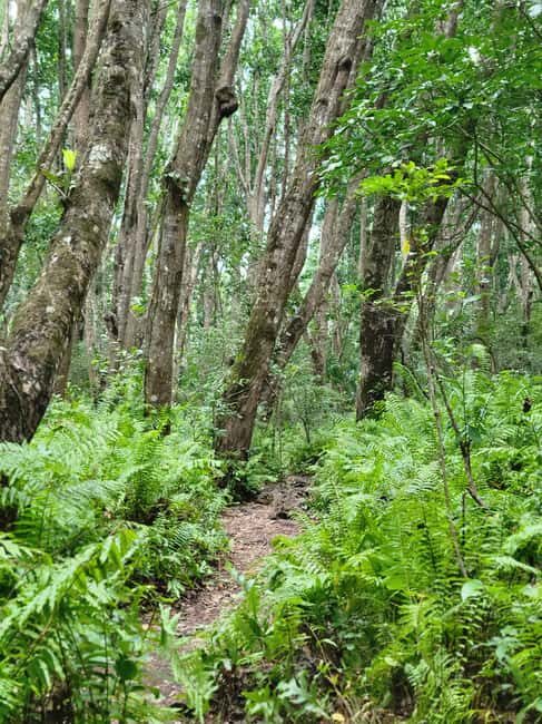 Zanzibar: Jozani Forest Guided Tour with Hotel Transfer - Practical Aspects of the Tour