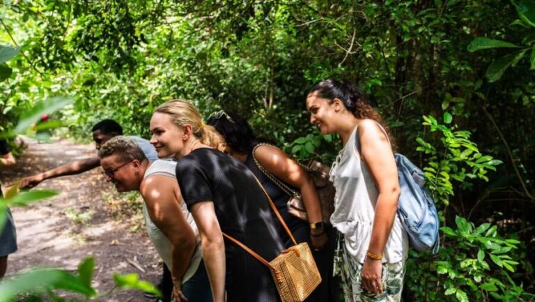 Zanzibar: Jozani Forest Guided Tour,Red Colobus and transfer - A Closer Look at the Jozani Forest Tour