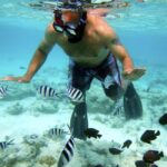 Zanzibar: Jozani Forest, Kuza Cave, Blue Lagoon & Dinner - What You Need to Know Before Booking