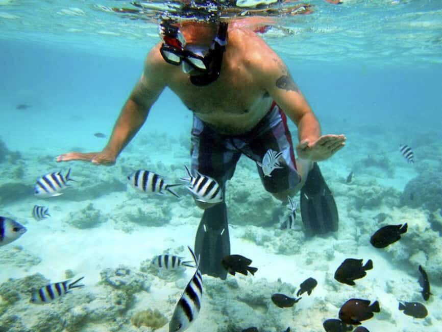 Zanzibar: Jozani Forest, Kuza Cave, Blue Lagoon & Dinner - What You Need to Know Before Booking