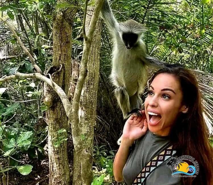 Zanzibar: Jozani Forest, Kuza Cave & The Rock Restaurant - What to Expect From This Tour