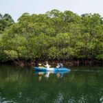 ZANZIBAR; Jozani forest & Mangrove Kayak Tour - FAQ