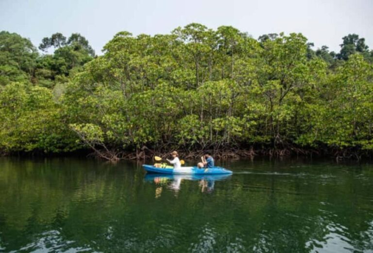 ZANZIBAR; Jozani forest & Mangrove Kayak Tour - FAQ